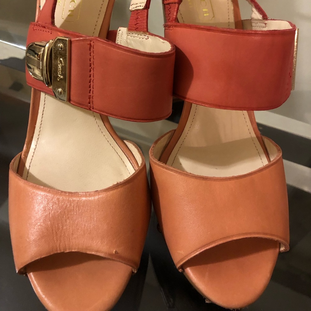 Coach Darcy Wood Heel Platform Sandals 6.5